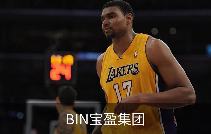 BIN宝盈集团简介
